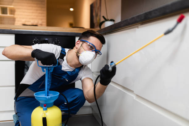 Best Affordable Pest Control Services  in Edgerton, MN